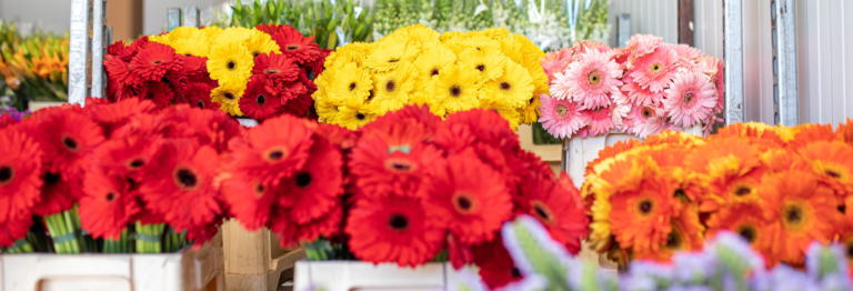 Flores para decorar: ¿cuales elegir?