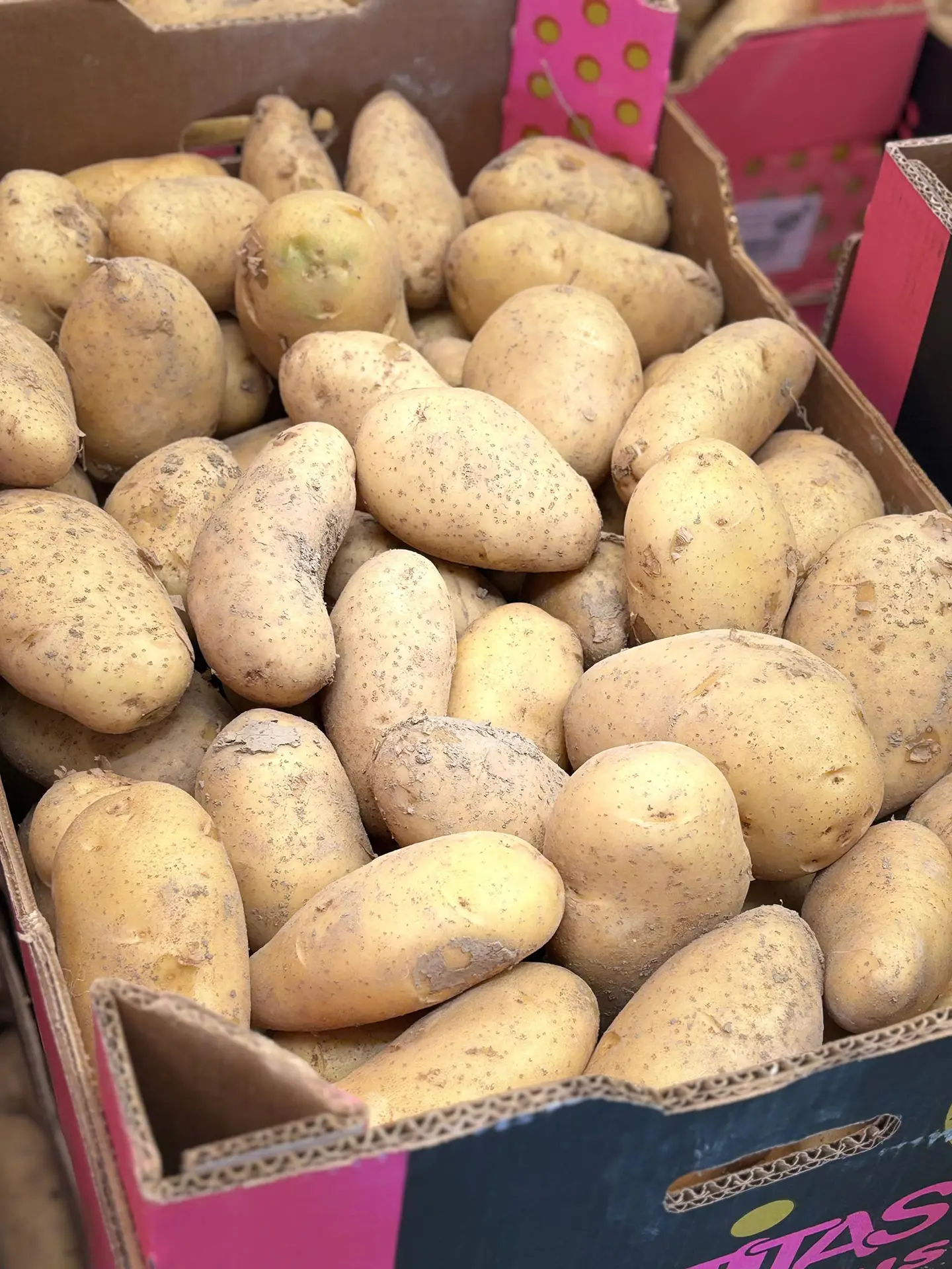 frutas2